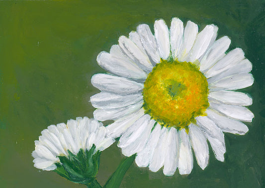 Daisy in Green - Maria de Rojas