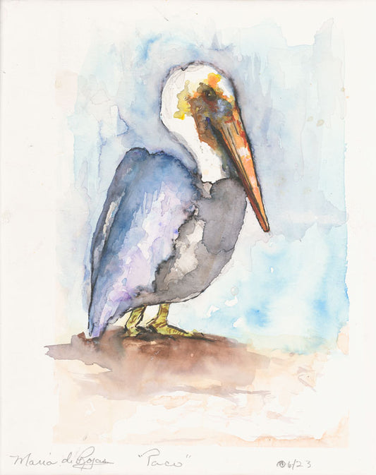 Paco - Maria de Rojas