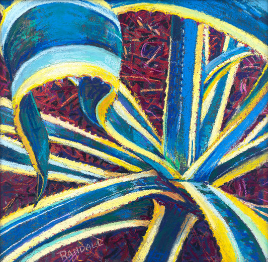 Agave II - Dave Randall