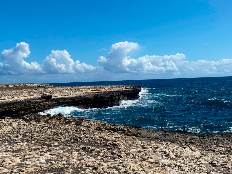 Antigua 1 - Stephen Annese