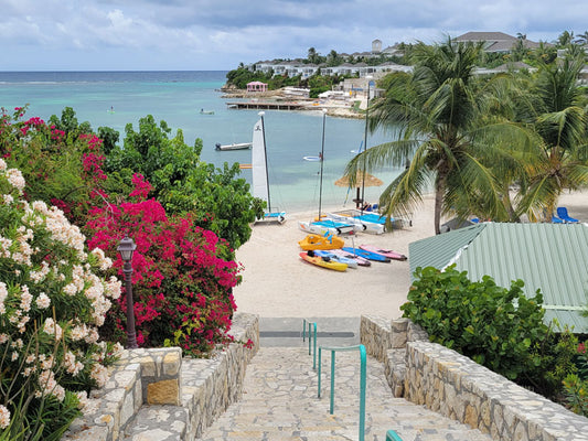 Antigua 2 - Stephen Annese