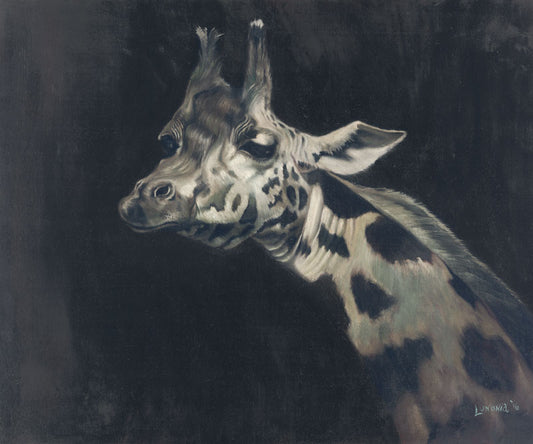 Black and White Giraffe - Lunonia Colella