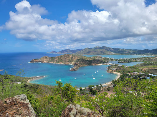 Barbados - Stephen Annese