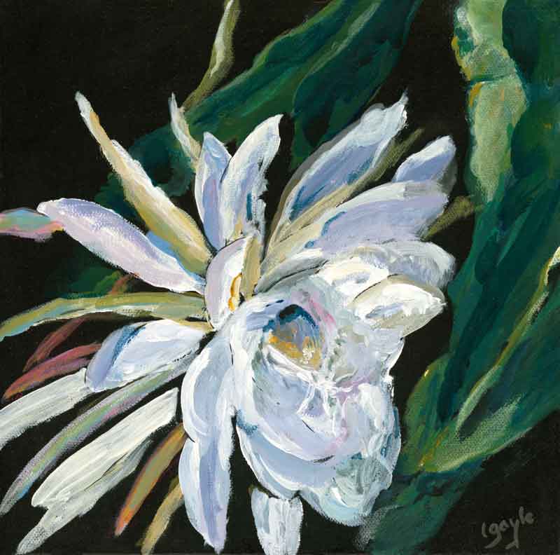 Cereus for Allan - Leslie Gayle