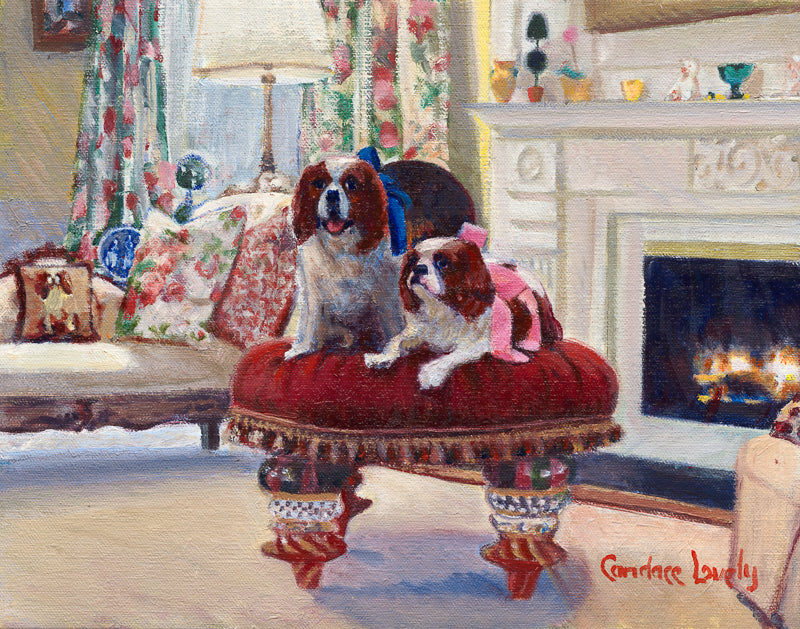 King Charles Spaniel, dogs