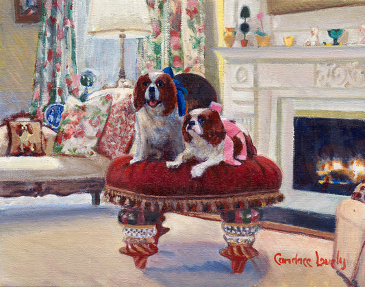 King Charles Spaniel, dogs