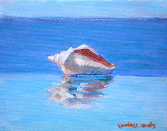 Conch, shell, beach, water