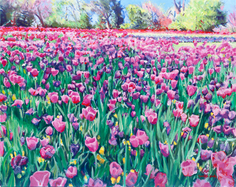 Dallas Tulips