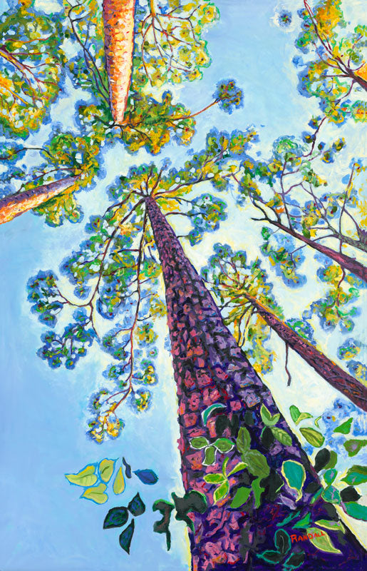 Dancing Pines - Dave Randall