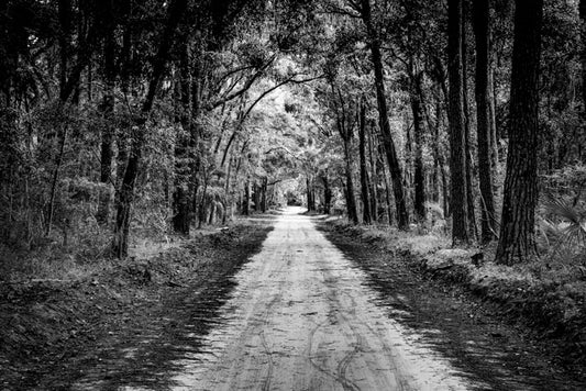 Daufuskie Island Road - Pete Schramm