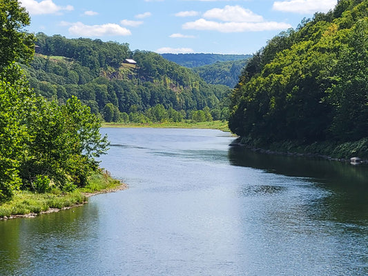 Delaware River - Stephen Annese