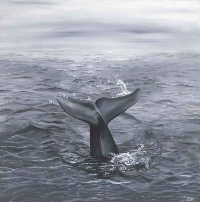 Solitude - Devin Cotter