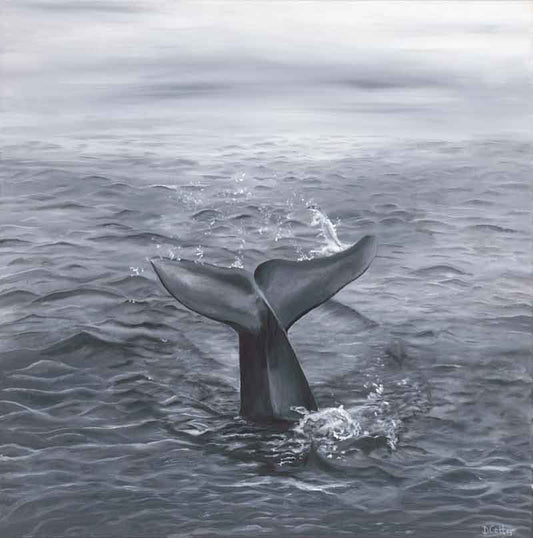 Solitude - Devin Cotter