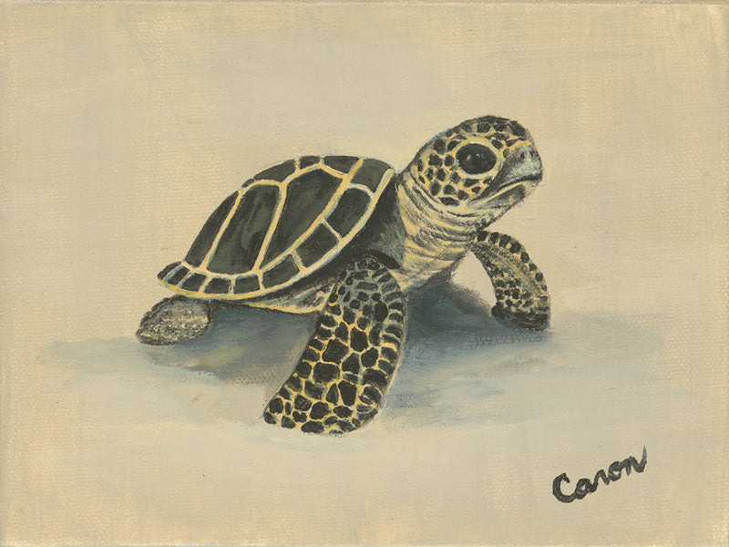 Hatchling - Diane Caron