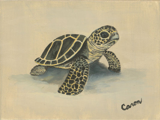 Hatchling - Diane Caron