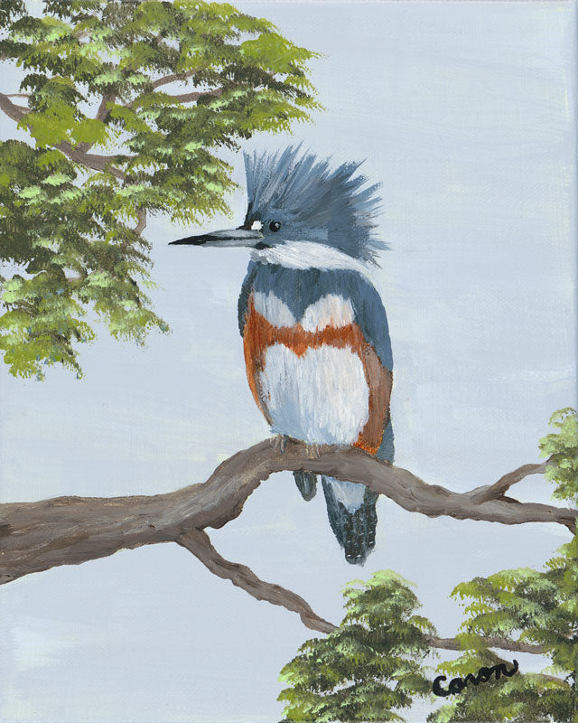 King Fisher - Diane Caron