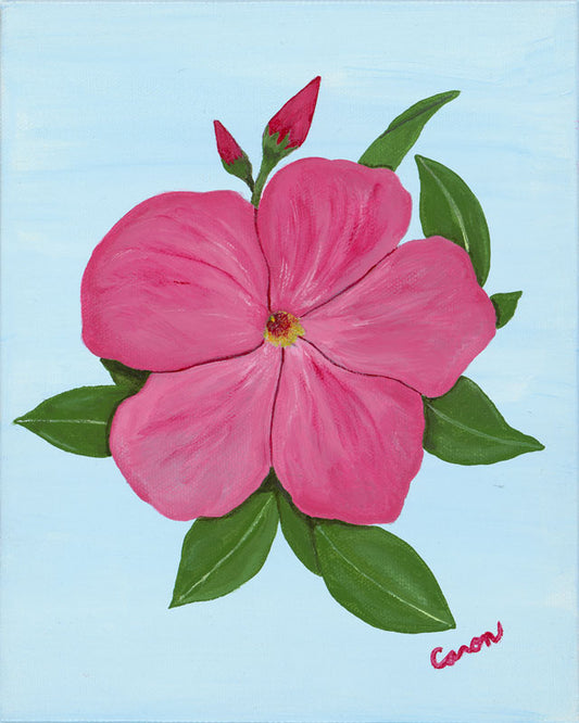 Pink Flower - Diane Caron