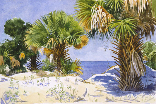 Dune Palms - Alan Campbell