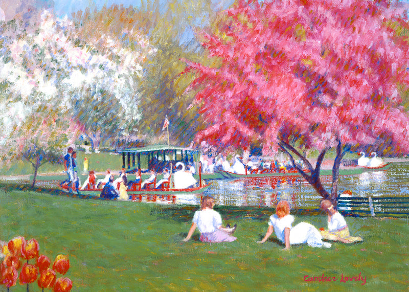 Boston, swan boats, spring, garden