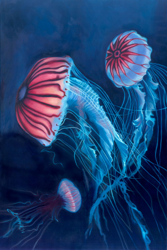Jellyfish - Lunonia Colella