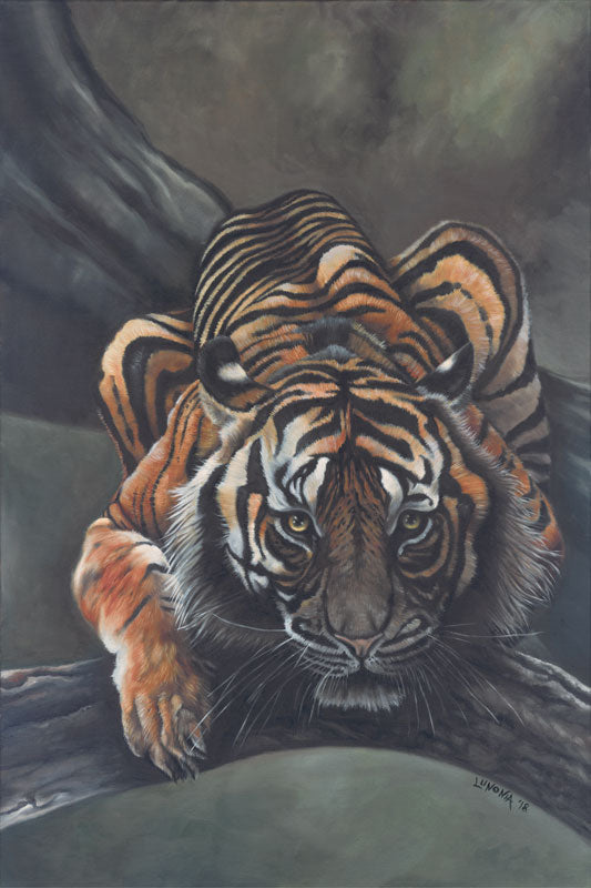Kitty Kitty - Lunonia Colella