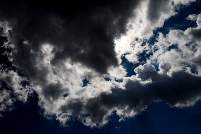Look Up 1 - Pete Schramm