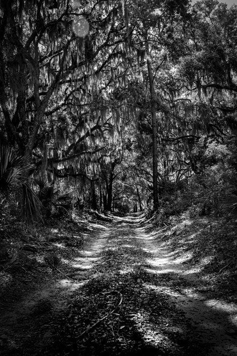 Nature's Path - Pete Schramm
