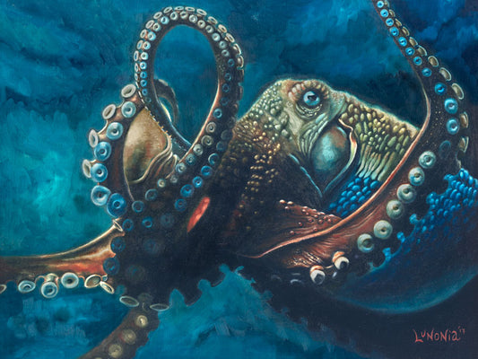 Octopus - Lunonia Colella