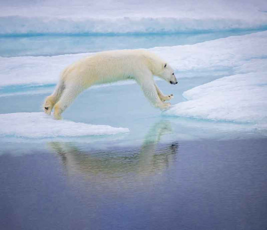 Jumping Mother - Richard Distlerath