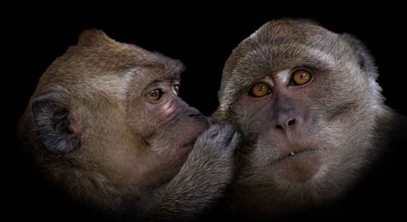 Secret - Richard Distlerath