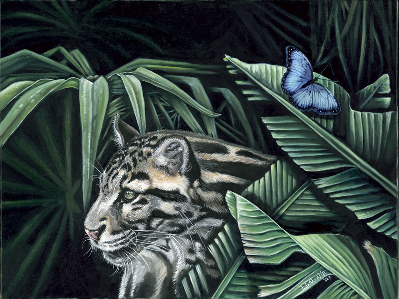 Rehbern - Lunonia Colella