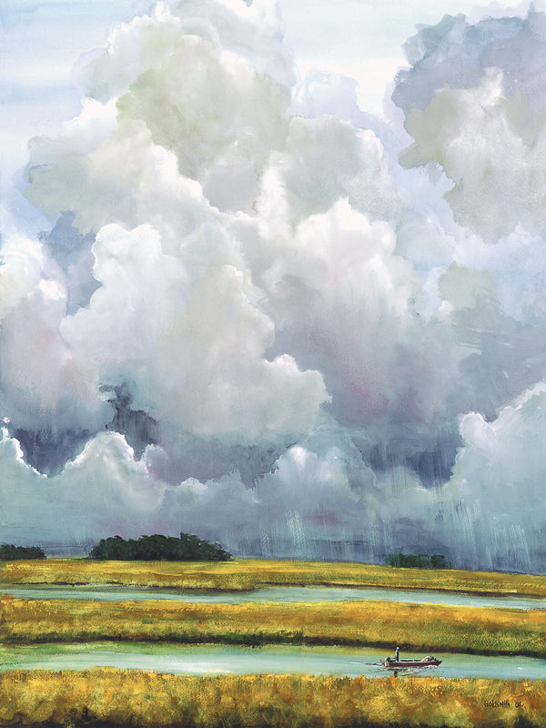 Buy fine art prints, South Carolina Lowcountry artists