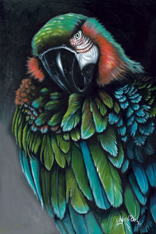 Scarlet Macaw - Lunonia Colella
