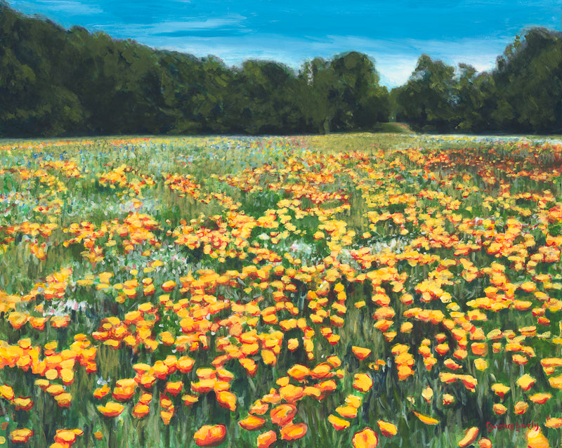 Sea Pines Wildflower Field