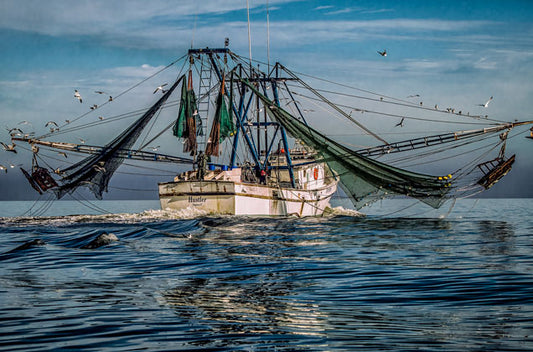 Shrimp Boat Reflections - Eric Horan