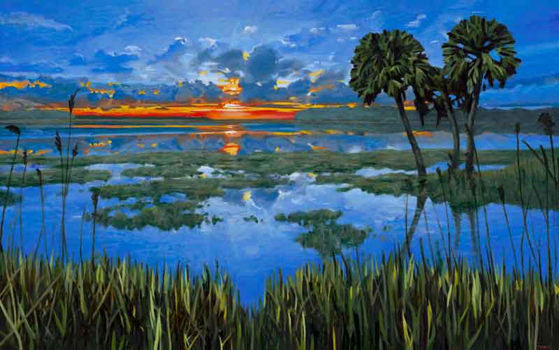 Spartina Sunset - Tim Byrne