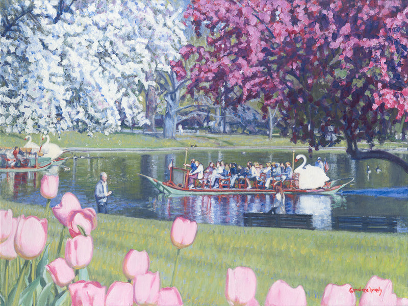 Springtime Swan Ride