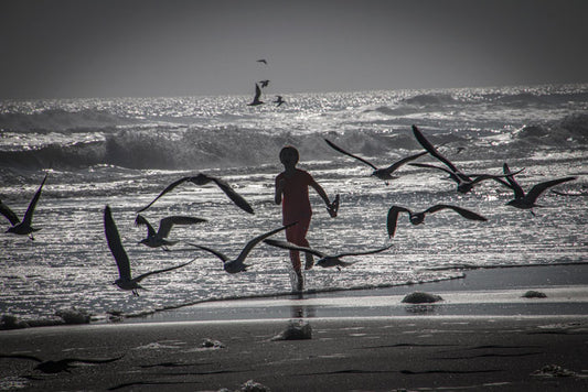 Surf Fun - Pete Schramm