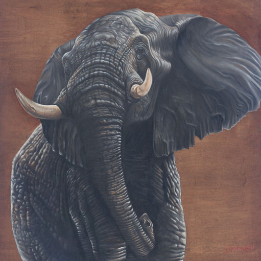 Tembo - Lunonia Colella