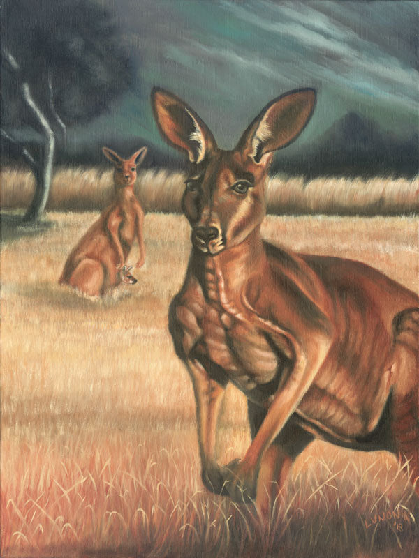 The Kangaroo - Lunonia Colella
