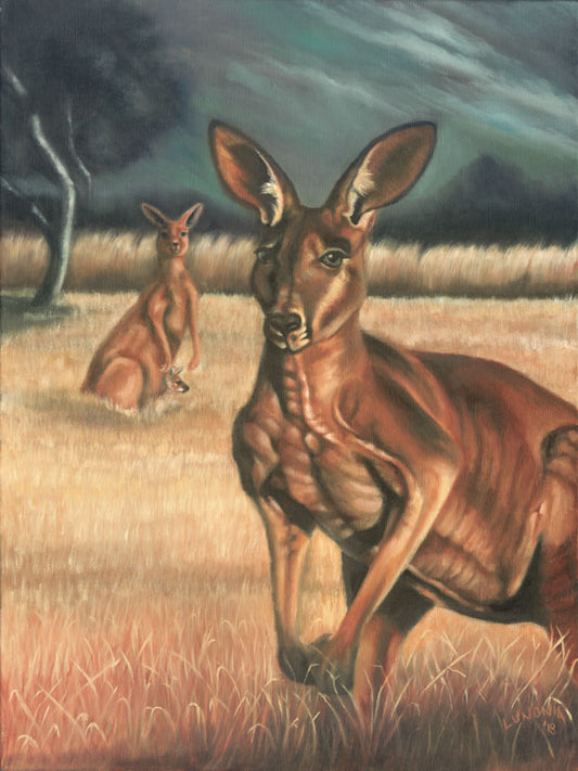 The Kangaroo - Lunonia Colella