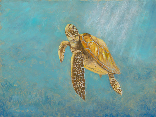 Finnegan - Theresa King