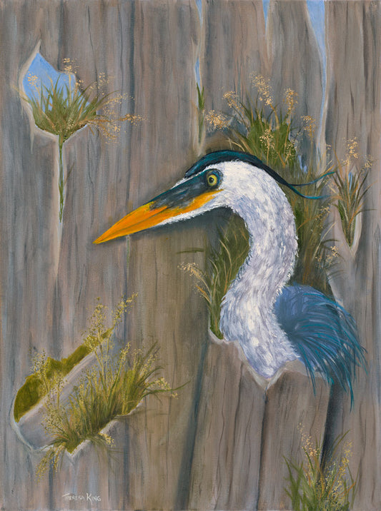 Curious - Theresa King