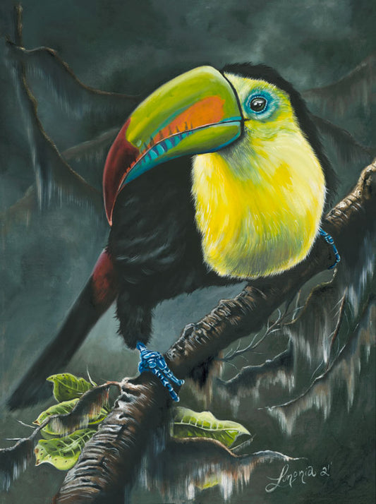 Toucan - Lunonia Colella