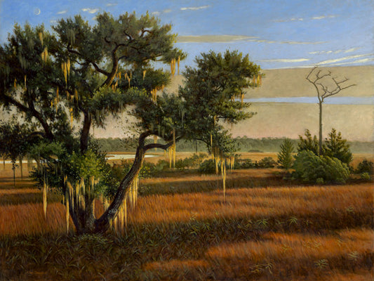 Daybreak at Good Hope - Alan Campbell