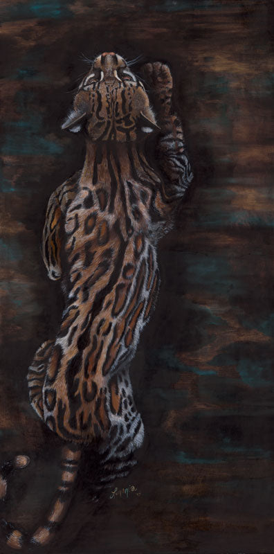 Zen Cat - Lunonia Colella