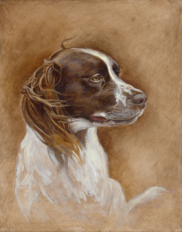 Hunting Dog - Alan Campbell