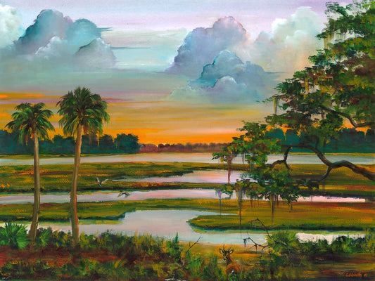Marsh, Lowcountry, sunset