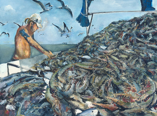 shrimp, catching shrimp, Lowcountry, shrimper