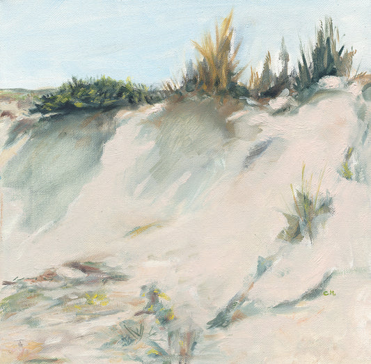 Beach Dune